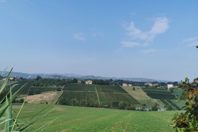 3 Hour E-bike Tour with Parmesan and Balsamic Vinegar - Is $263.62 per person good value?