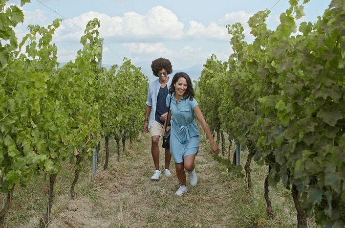 8 Hour Ontario Wine Tour with Cheese and Charcuterie - Niagara-on-the-Lake gives the day a needed pause