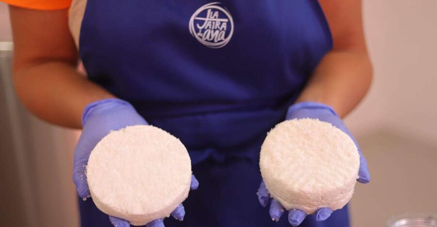 Aguïmes : Cheese Making Workshop at la Jaira de Ana - What the dairy visit adds to the workshop