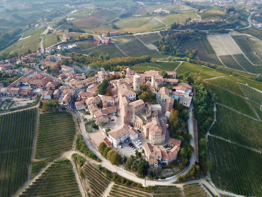 Alba: Truffle Hunting with Cheese, Truffle, & Wine Tastings - The English guide makes the hunt easier to follow