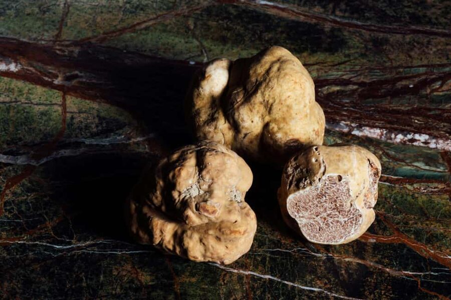 Alba: Truffle Hunting with Cheese, Truffle, & Wine Tastings - Barolo, Nebbiolo, cheese, and black truffle