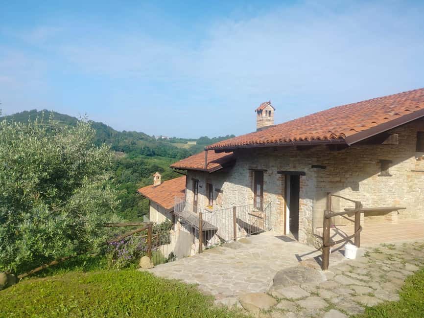 Alba: Truffle Hunting with Cheese, Truffle, & Wine Tastings - What the $93 price really covers