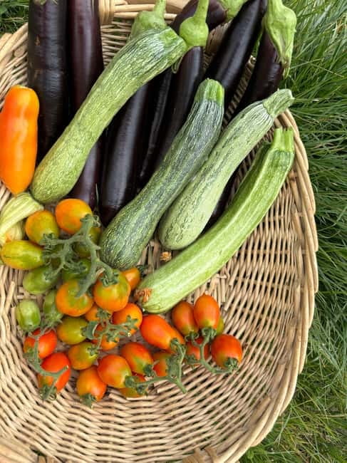 Amalfi Coast: Mozzarella, Pasta and Tiramisù Cooking Class - Practical planning for your three hours