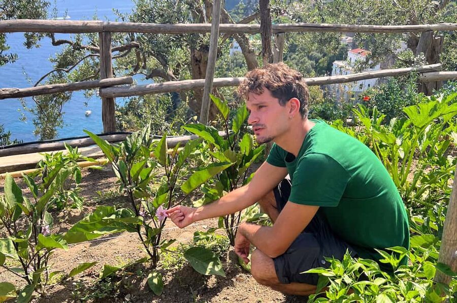Amalfi Coast: Pizza & Mozzarella Class with Farmhouse visit - What the hosts add to the experience