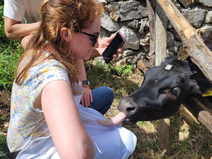 Amalfi: Make tagliatelle, mozzarella and tiramisù - Starting with tiramisu and farm wine