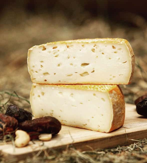 Amsterdam: Cheese Tasting, Windmill & Countryside Bike Tour - The farm stop and the cheese tasting