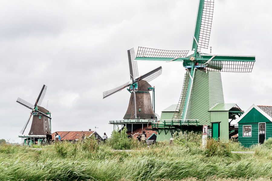 Amsterdam: Guided Zaanse Schans, Windmills & Cheese Tour - What the $22 price really buys