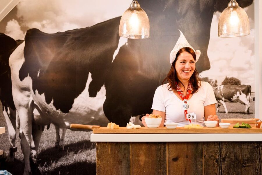 Amsterdam: Premium Henri Willig Cheese Tasting Experience - What the Henri Willig Tasting Feels Like