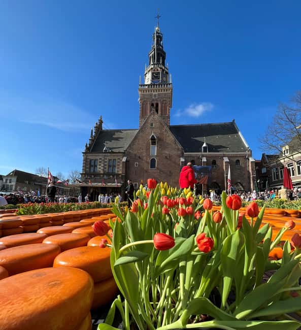 Amsterdam: Traditional Cheese Market Tour to Alkmaar - Key points at a glance