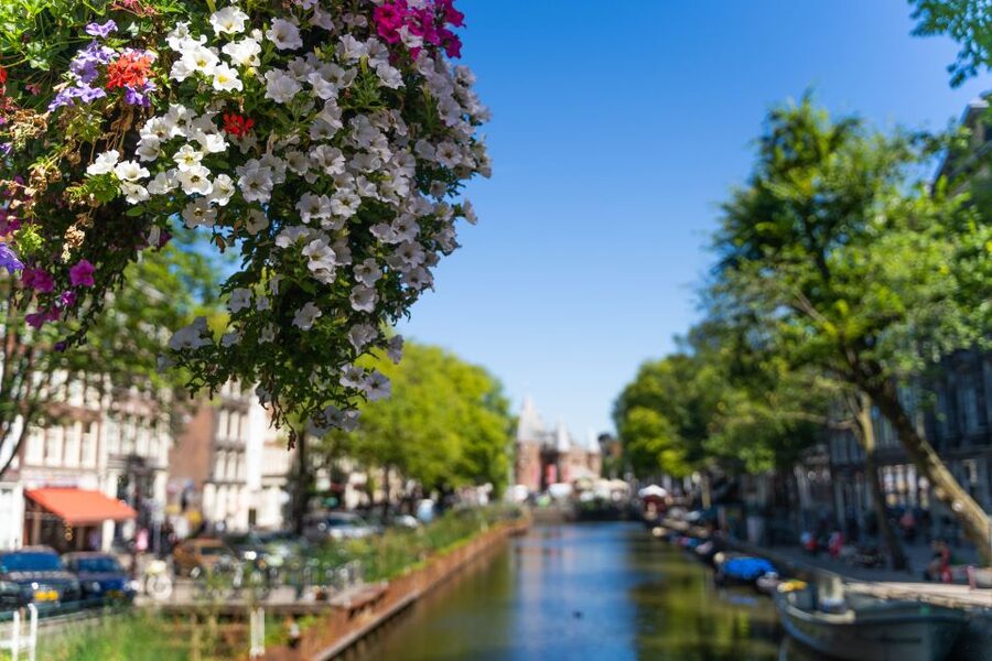 Amsterdam Walking Tour with Cheese Tasting - Who should book this experience?