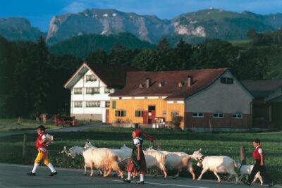 Appenzell Alps Day Trip from Zurich – Farm Life & Cheese Tasting