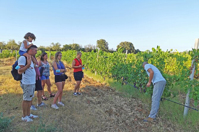 Archeology, visit to a vineyard and wine and pecorino cheese tasting - Su Barone’s wetlands and birdlife