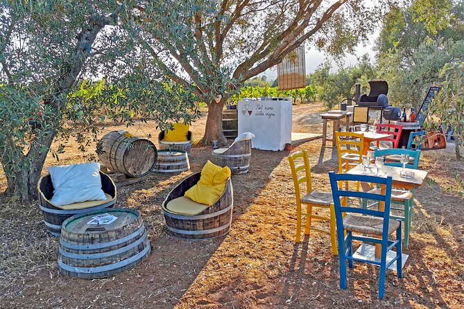 Archeology, visit to a vineyard and wine and pecorino cheese tasting - A country winery among Cannonau vines