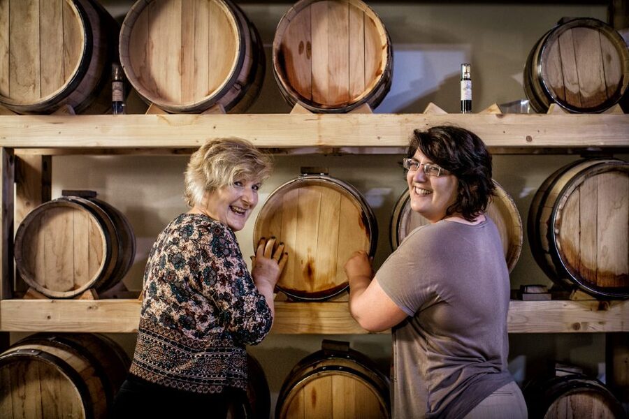 Assisi: Organic Wine and Cheese Tasting - Tili 21 Cantina Bio and the Tili family welcome