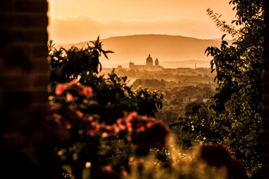 Assisi: Organic Wine and Cheese Tasting - Who will enjoy this tasting most