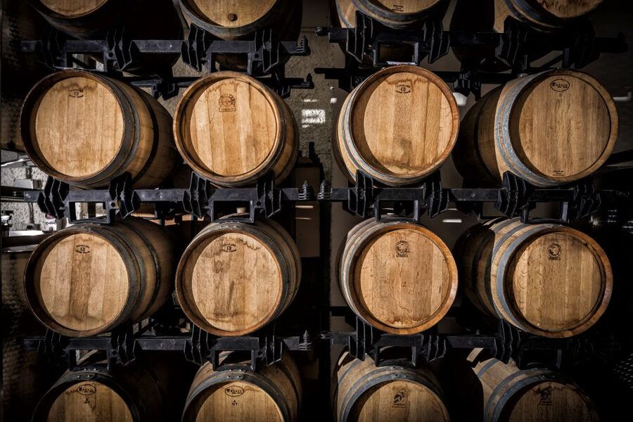 Assisi: Organic Wine and Cheese Tasting - Languages, access, and booking flexibility