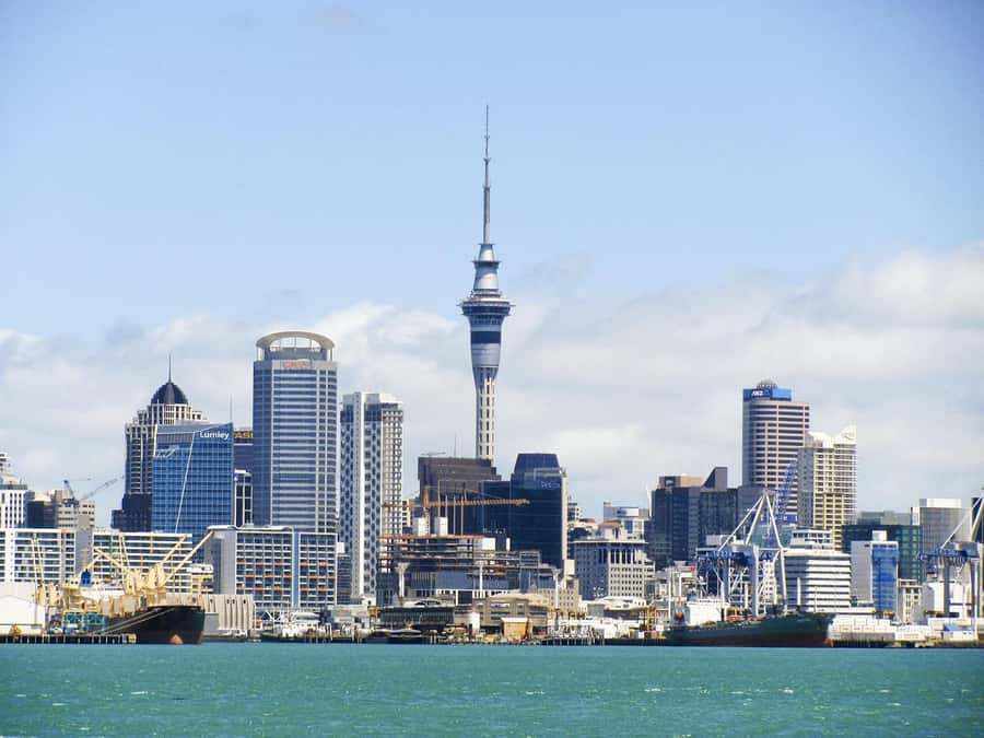 Auckland: Scenic Wine and Cheese Harbour Cruise - Key Points At A Glance