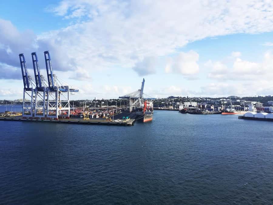 Auckland: Scenic Wine and Cheese Harbour Cruise - Rangitoto Island And Auckland’s Harbour Views
