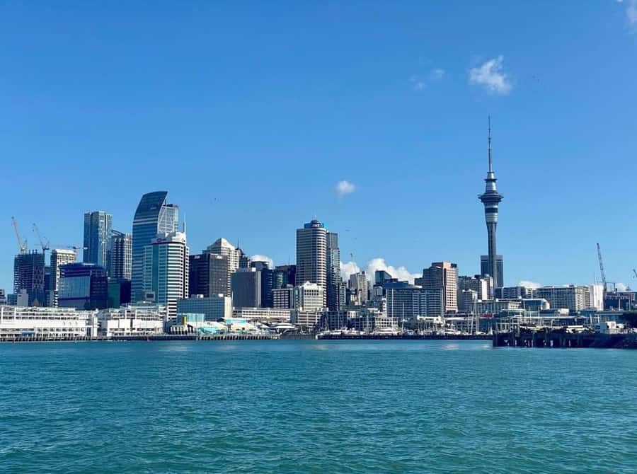 Auckland: Scenic Wine and Cheese Harbour Cruise - Who Will Enjoy This Cruise Most?