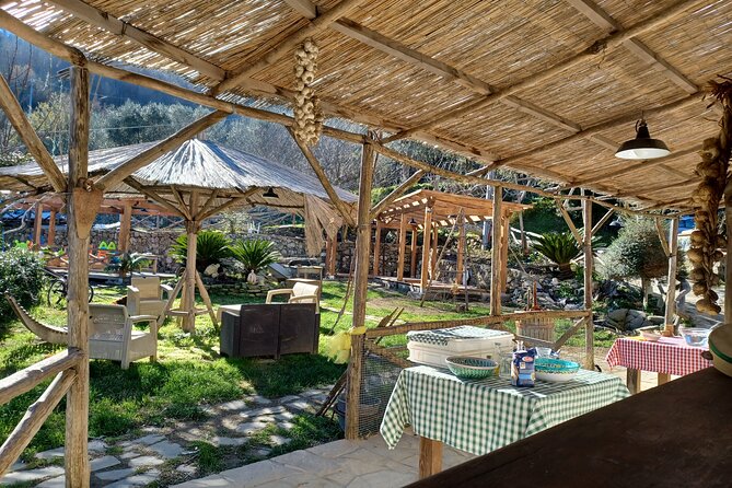 Authentic Farm Tour with Pizza, Cheese, Wine & Limoncello Tasting - From Sorrento to the hills above the Gulf of Naples