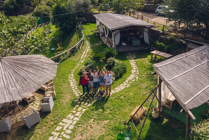 Authentic Farm Tour with Pizza, Cheese, Wine & Limoncello Tasting - Wine, olive oil, and lemons with a view