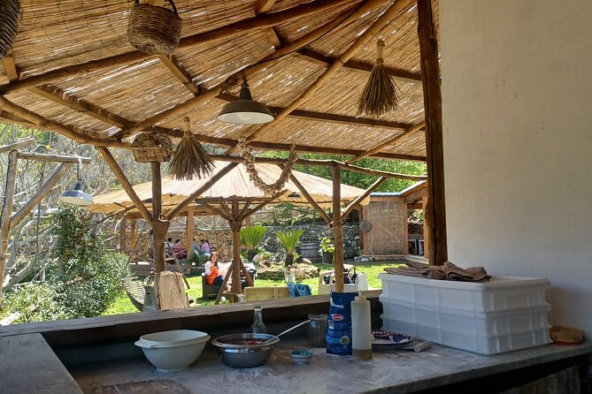 Authentic Farm Tour with Pizza, Cheese, Wine & Limoncello Tasting - Lunch is generous and built around the farm