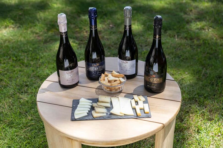 Barcelona: Cavas Hill - Winery Tour & Cheese Tasting - Why this winery makes a good Barcelona side trip