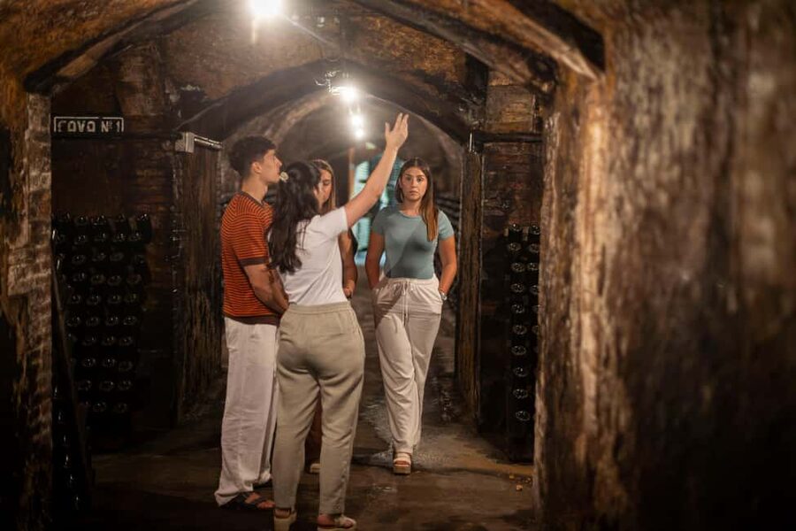 Barcelona: Cavas Hill - Winery Tour & Cheese Tasting - Should you book this cava and cheese tour?