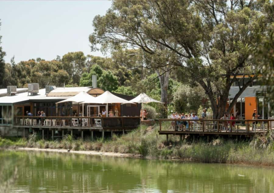 Barossa Valley: Maggie Beer's Wine Tasting & Cheese Platter - Key points to know before you book