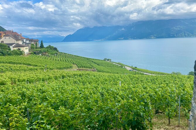 Bern Private Tour - Gruyères , Cheese, and Lavaux's UNESCO Wine - A grand Swiss day from Bern