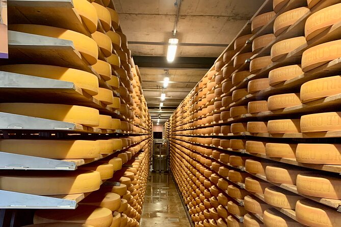 Bern Private Tour - Gruyères , Cheese, and Lavaux's UNESCO Wine - The Montbovon rail journey