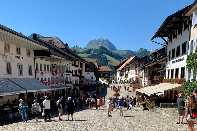 Bern Private Tour - Gruyères , Cheese, and Lavaux's UNESCO Wine - The day’s pace and practical details