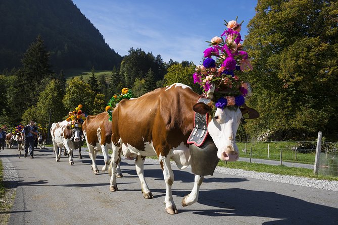Berne the Capital and Cheese paradise Emmental (Private Tour) - Booking details that matter