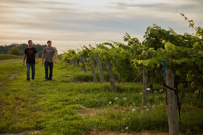 Between the Lines Cheese and Charcuterie Picnic - Who should book this tasting?