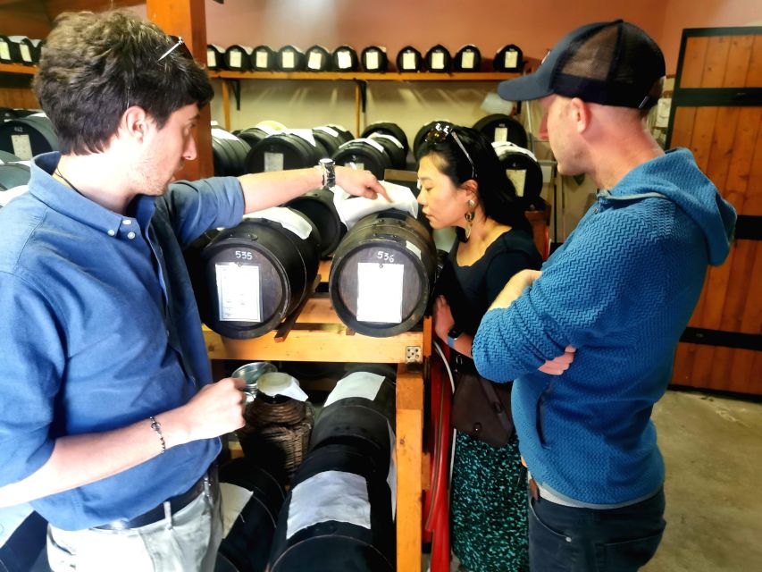 Bologna: Parmigiano, Wine and Balsamic Vinegar experience - Why this Emilia-Romagna food tour works