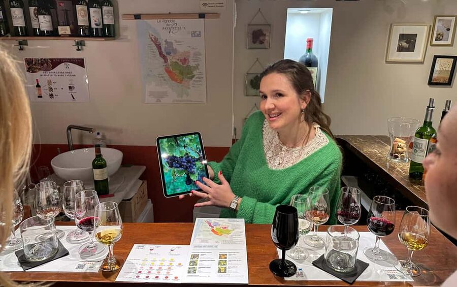 Bordeaux wines : tasting with 4 white wines and cheeses - Should You Book This Bordeaux White Wine Tasting?