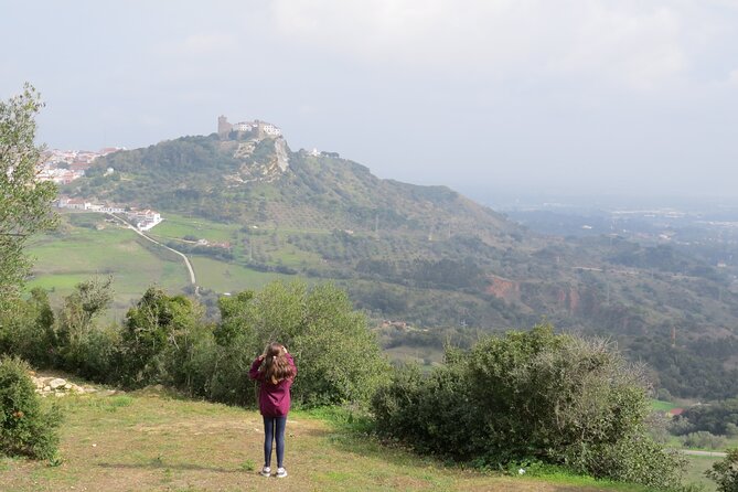 Bread, Wine&Cheese, The Natural Taste - From Lisbon to Angel’s Farm in 30 minutes