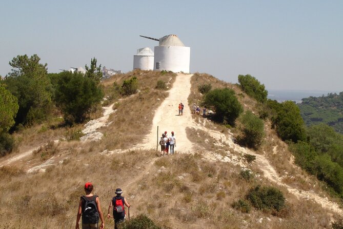 Bread, Wine&Cheese, The Natural Taste - Baking bread beside a working windmill