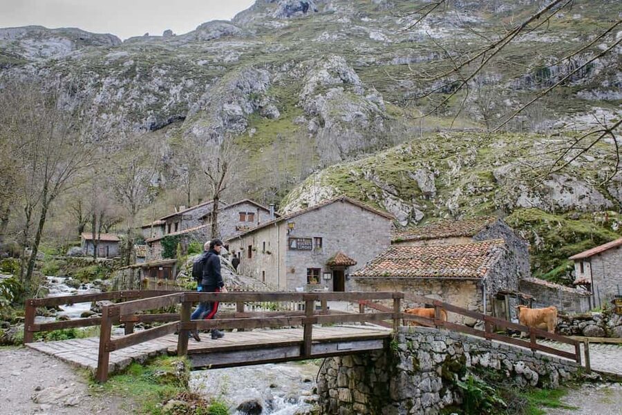 Bulnes: Excursion with funicular and Cabrales cheese cave in the Picos de Europa - Key points to know before you book