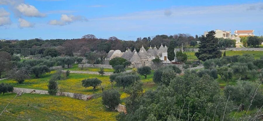 Cassano: Alta Murgia E-Bike Ride + Mozzarella Lab - Key points to know before you book