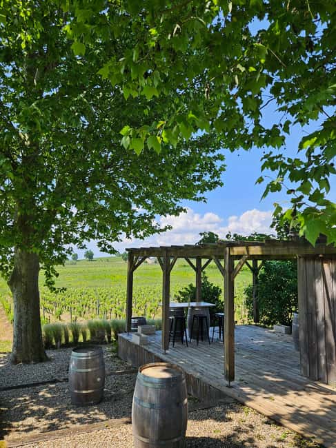 Château Petit Mangot's aperitif: charcuterie, cheeses, and wines - Walking the Décamps family vines