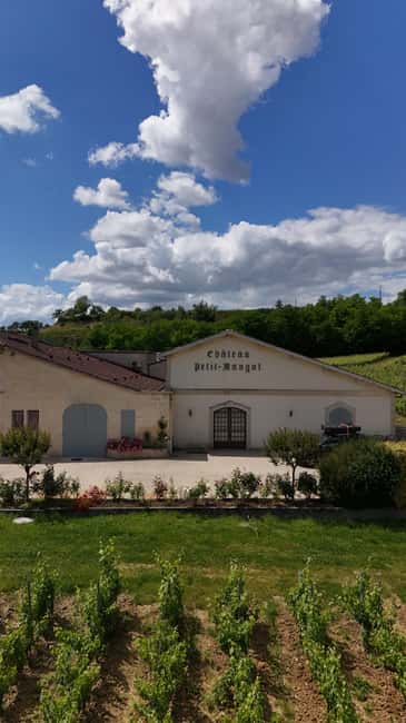 Château Petit Mangot's aperitif: charcuterie, cheeses, and wines - The private terrace and the final aperitif