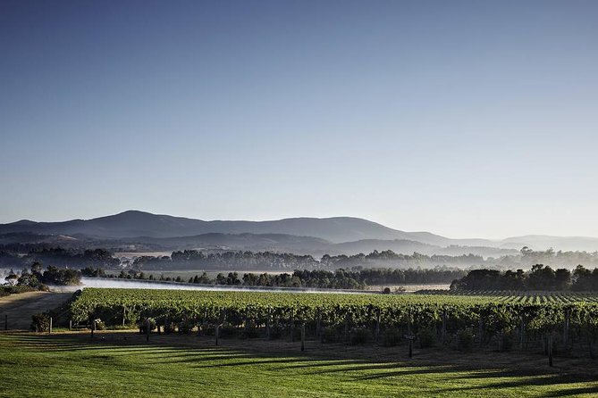 Chauffeured Cheese and Wine Tour with 3 Course Lunch - For 2 - Is $1,072.28 for two good value?