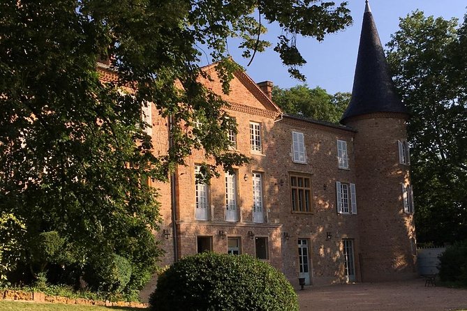 Cheese and Wine Accord Tour at Château de Champ-Renard - Walking through the Beaujolais vines