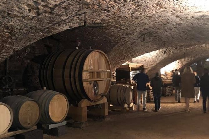 Cheese and Wine Accord Tour at Château de Champ-Renard - Learning how the wine is made