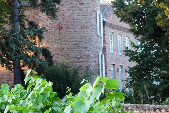 Cheese and Wine Accord Tour at Château de Champ-Renard - What the $57.62 price includes