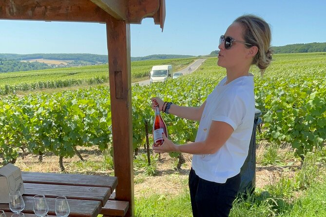 Cheese and Wine Pairing 1-Hour Session in Dijon - Understanding the cheese and wine pairings