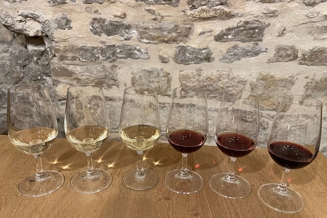 Cheese and Wine Pairing 1-Hour Session in Dijon - Who will enjoy this Dijon tasting