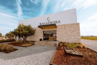 Cheese and Wine Route with 2 Towns, starting from Querétaro