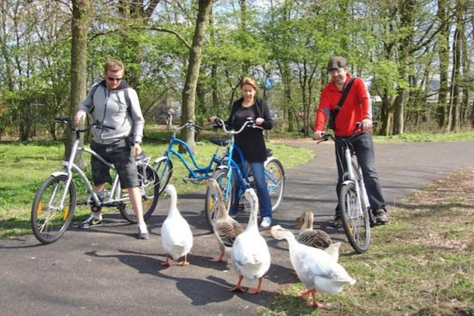 Cheese, Canals & Windmill Countryside E-Bike Tour Amsterdam - Nieuwendammerdijk and the long return route